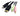 StarTech 6ft 4-in-1 USB DisplayPort KVM Switch Cable w/ Audio & Microphone (DP4N1USB6) - V&L Canada
