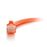 C2G/Cables to Go 27813 Cat6 Snagless Unshielded (UTP) Network Patch Cable, Orange (10 Feet/3.04 Meters)