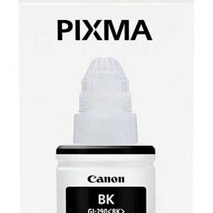 Canon GI-290 Black Ink Bottle for PIXMA MegaTank, Black (1595C001)