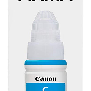 Canon GI-290 Cyan Ink Bottle for PIXMA MegaTank, Cyan (1596C001)