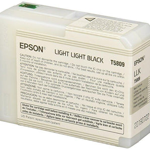 Epson Singlepack Light Light Black T580900