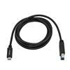 StarTech USB315CB2M 2m USB C USB B Male Male Black USB cable - V&L Canada